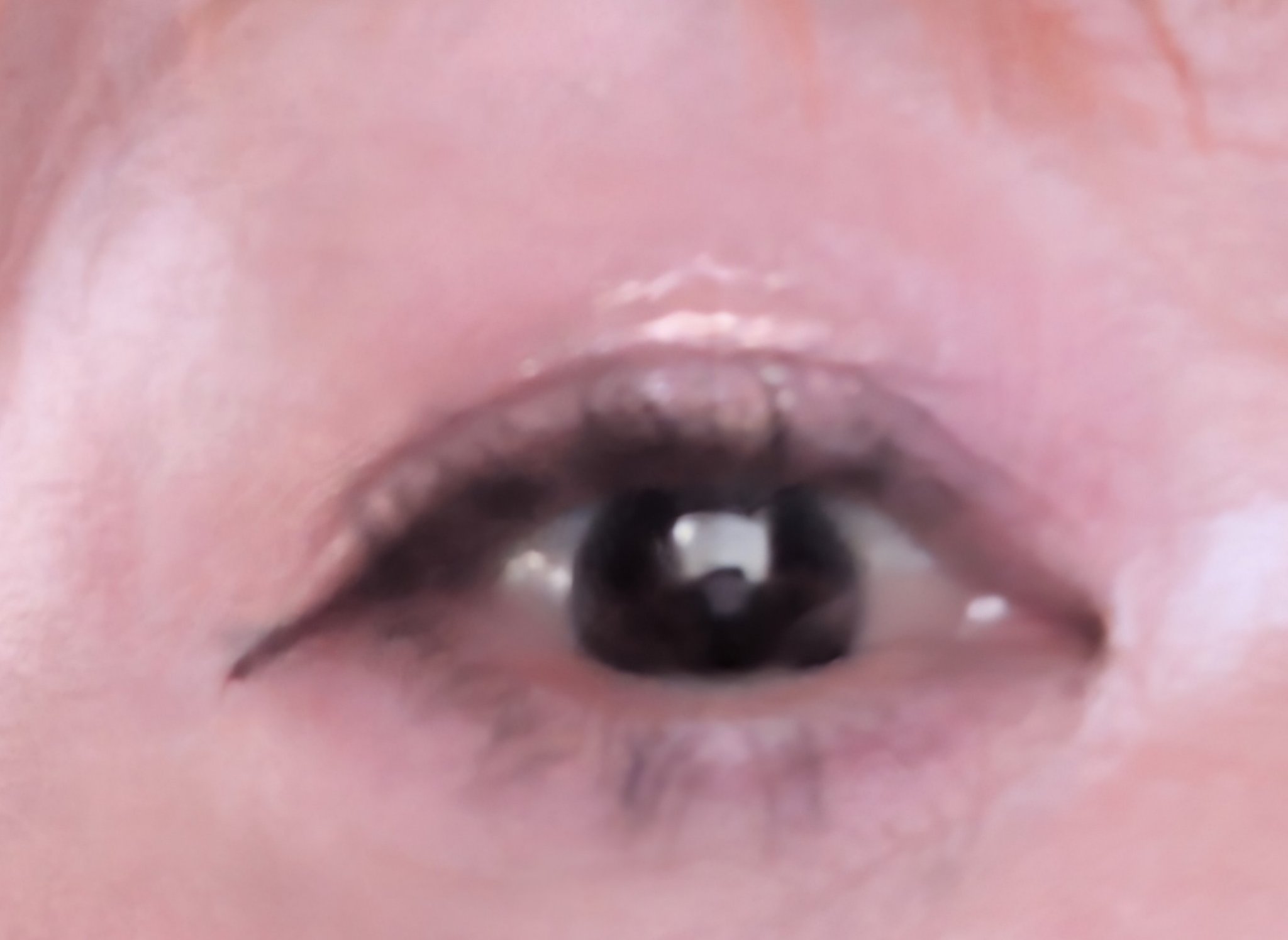 クリーミータッチライナー/キャンメイク/ジェルアイライナーを使ったクチコミ（2枚目）