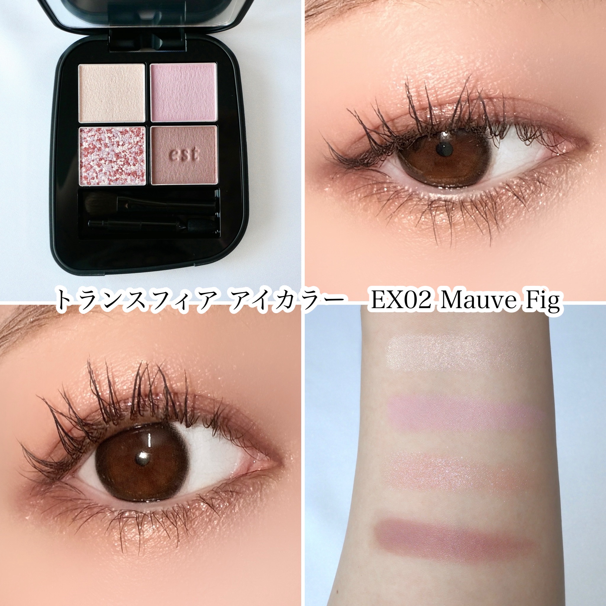 エスト トランスフィア アイカラー/est/アイシャドウパレットを使ったクチコミ（3枚目）