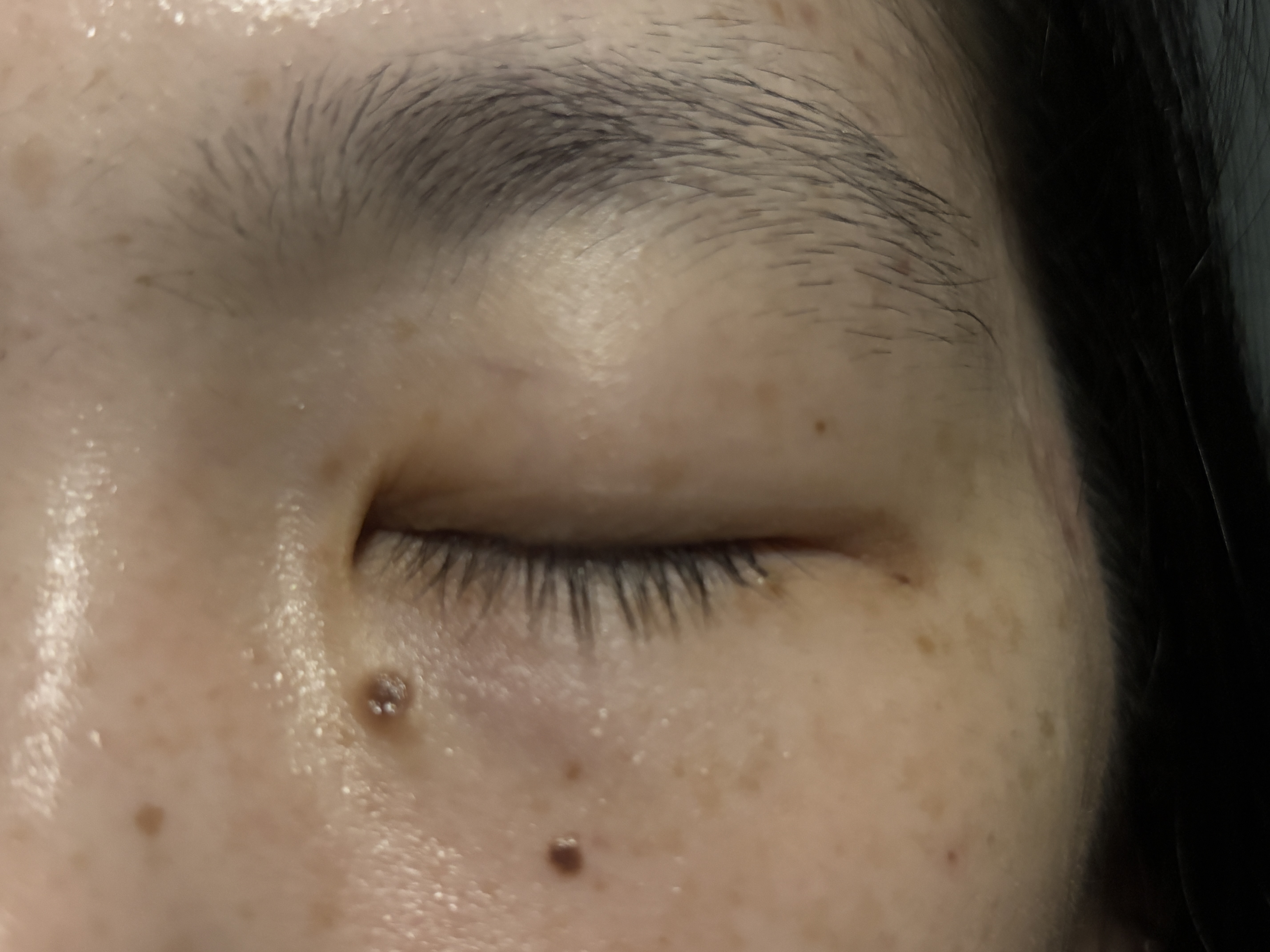 まつげ美容液リッチプラス/CEZANNE/まつげ美容液を使ったクチコミ（1枚目）