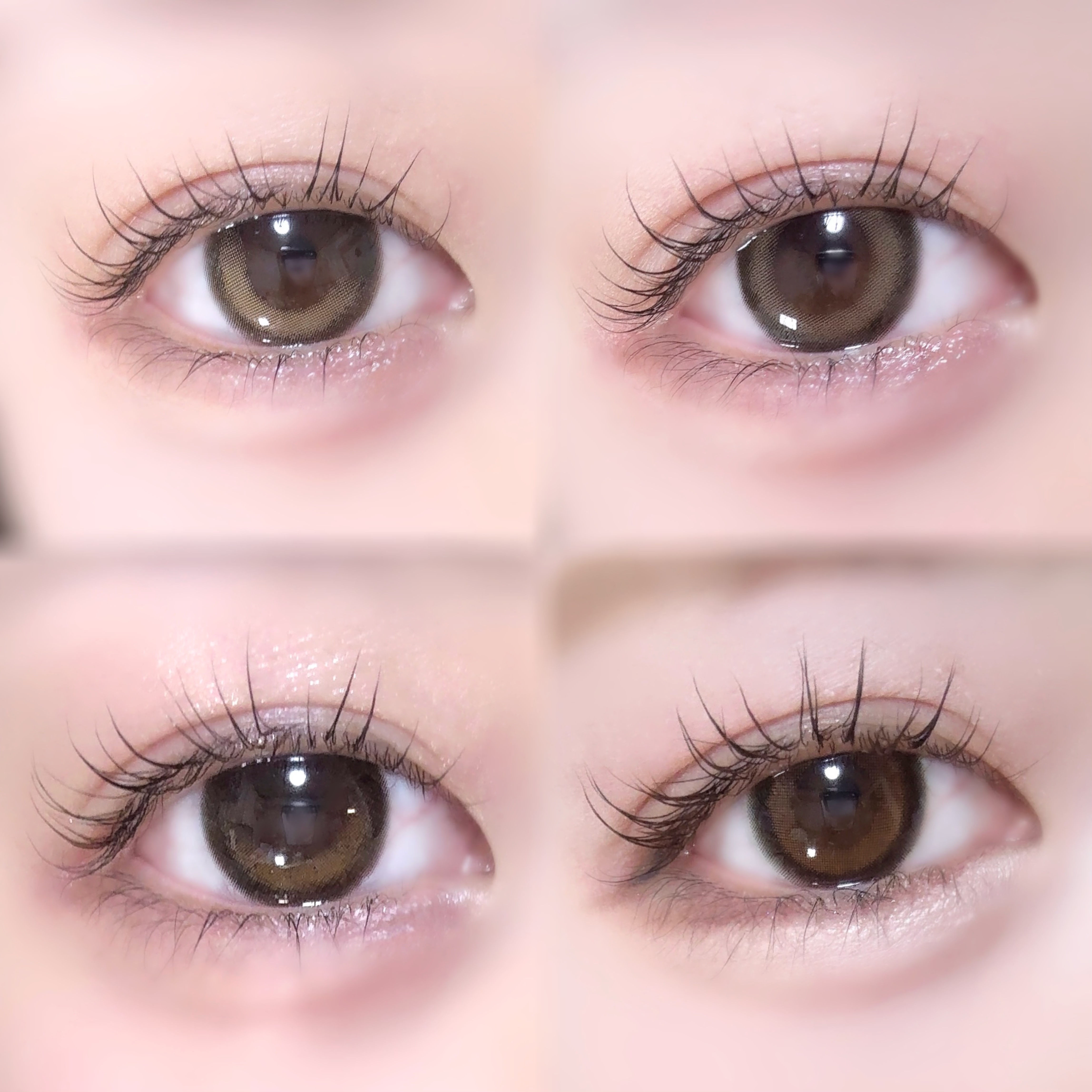 candymagic1day（キャンディーマジックワンデー） ミミブラウン/candy magic/ワンデー（１DAY）カラコンを使ったクチコミ（1枚目）