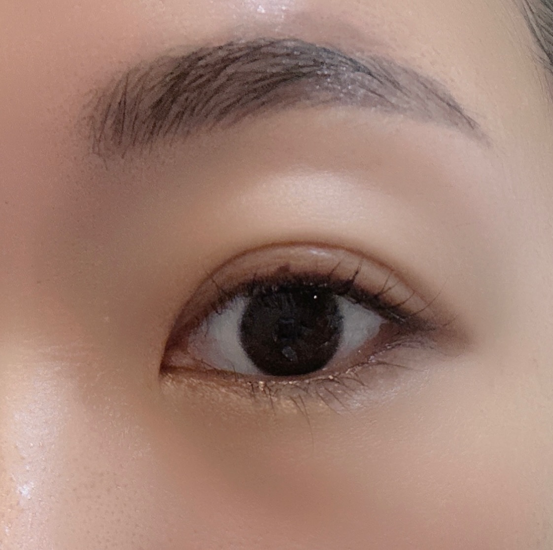 アイブロウスタイリングジェル(クリア)/ラッシュグランディール/その他アイブロウを使ったクチコミ（3枚目）