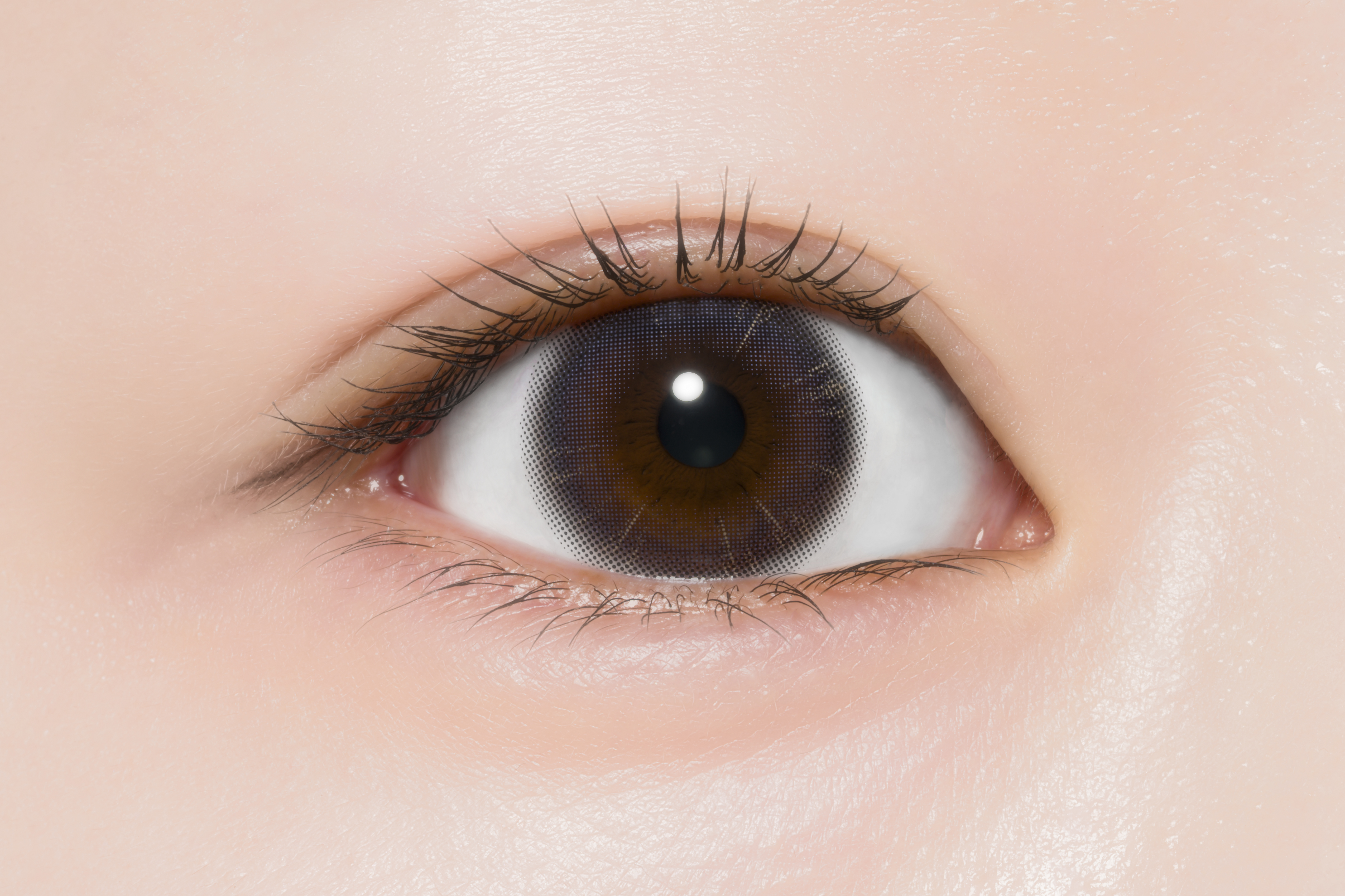 ProWink 1day ジェラートブラック