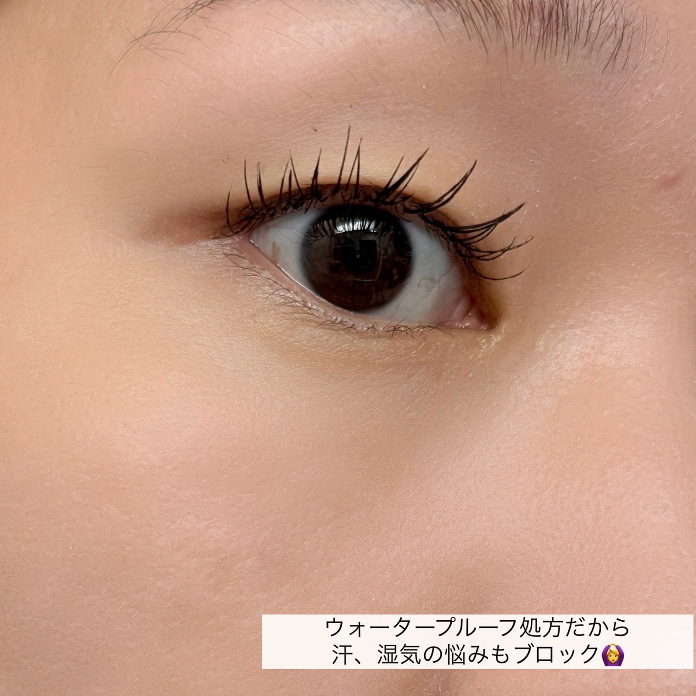 ã©ãã·ã¥ãã¡ã€ã¿ãŒãã«ãŒã«ã¢ãããŒãã¹ã«ã©ãLv50/ã©ãã·ã¥ãã¡ã€ã¿ãŒ/ãã¹ã«ã©ã䜿ã£ãã¯ãã³ãïŒ7æç®ïŒ