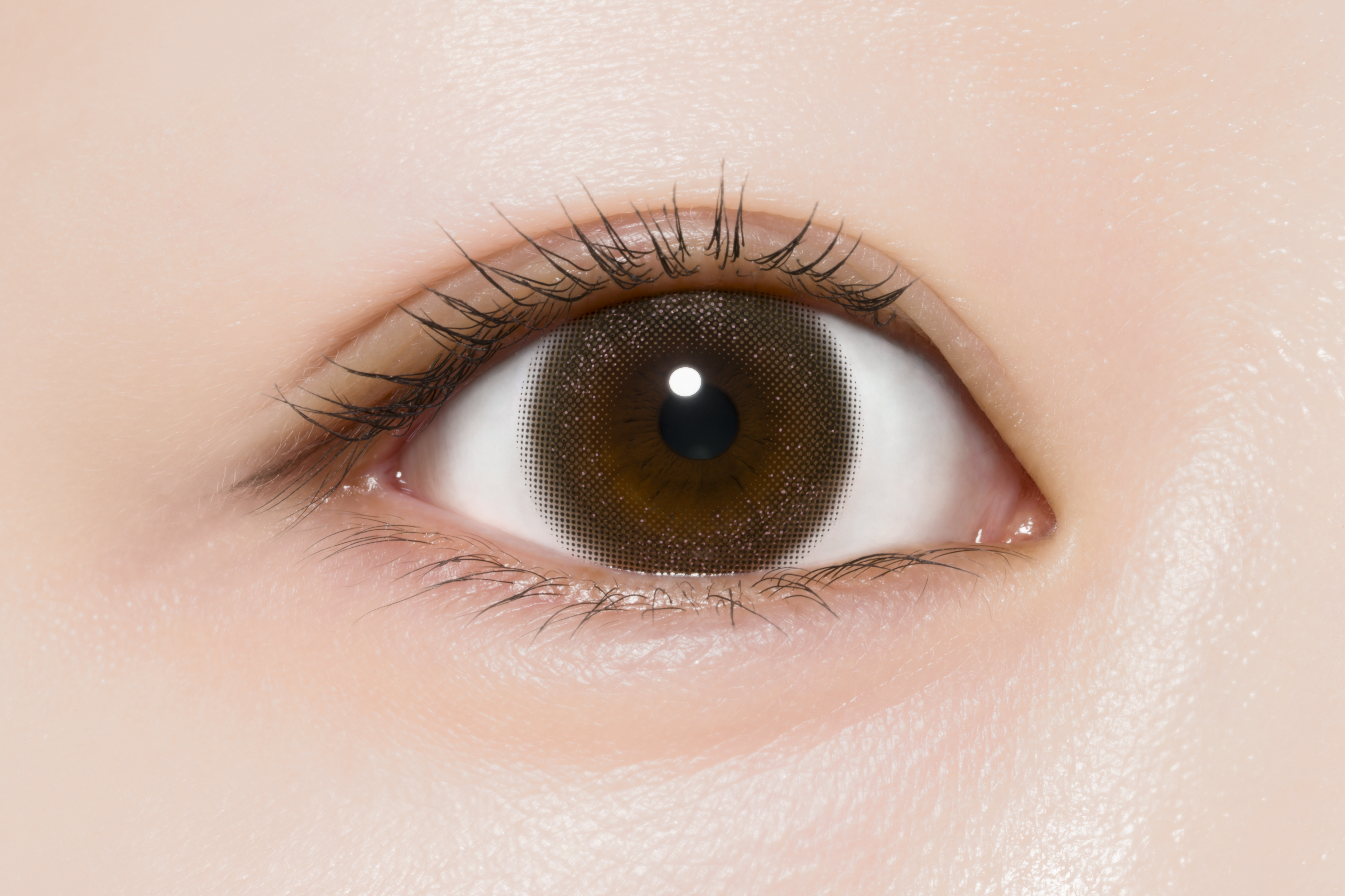 ProWink 1day ヴェールマロン