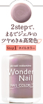 pa ワンダーネイル RWN-09