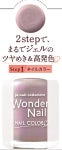 pa ワンダーネイル RWN-09