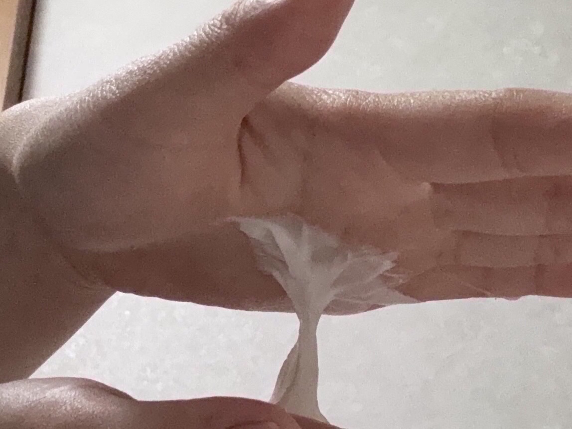 チークトーン リップ＆チーク デュオバーム/TONYMOLY/口紅を使ったクチコミ（3枚目）