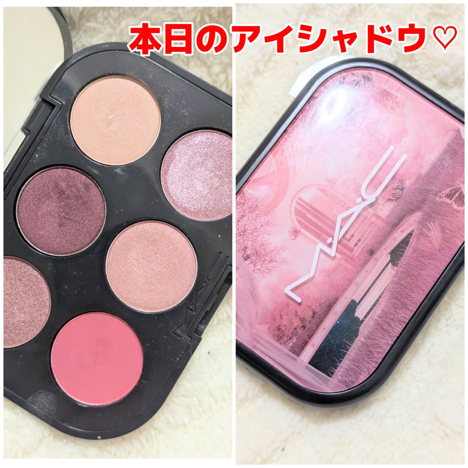 コネクト イン カラー アイシャドウ パレット × 6 ローズ レンズ/M・A・C/アイシャドウパレットを使ったクチコミ（1枚目）