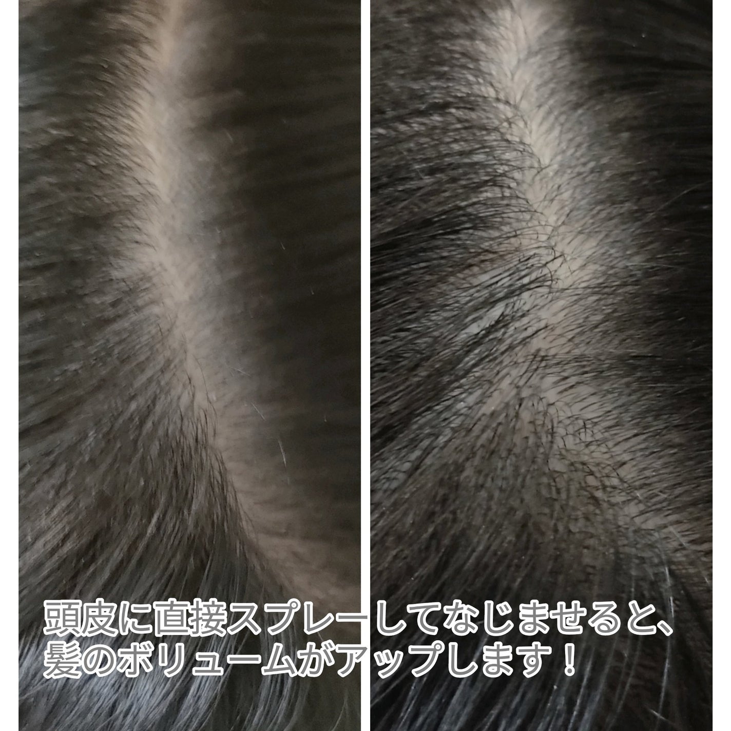 ボリューマイジング&スーディングヘアトニック/SallyZen/頭皮ローションを使ったクチコミ(3枚目)