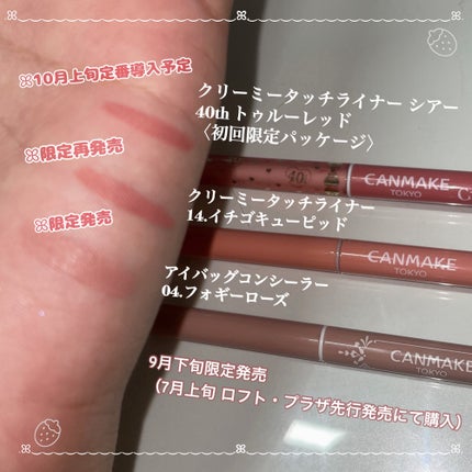 クリーミータッチライナー/キャンメイク/ジェルアイライナーを使ったクチコミ(3枚目)