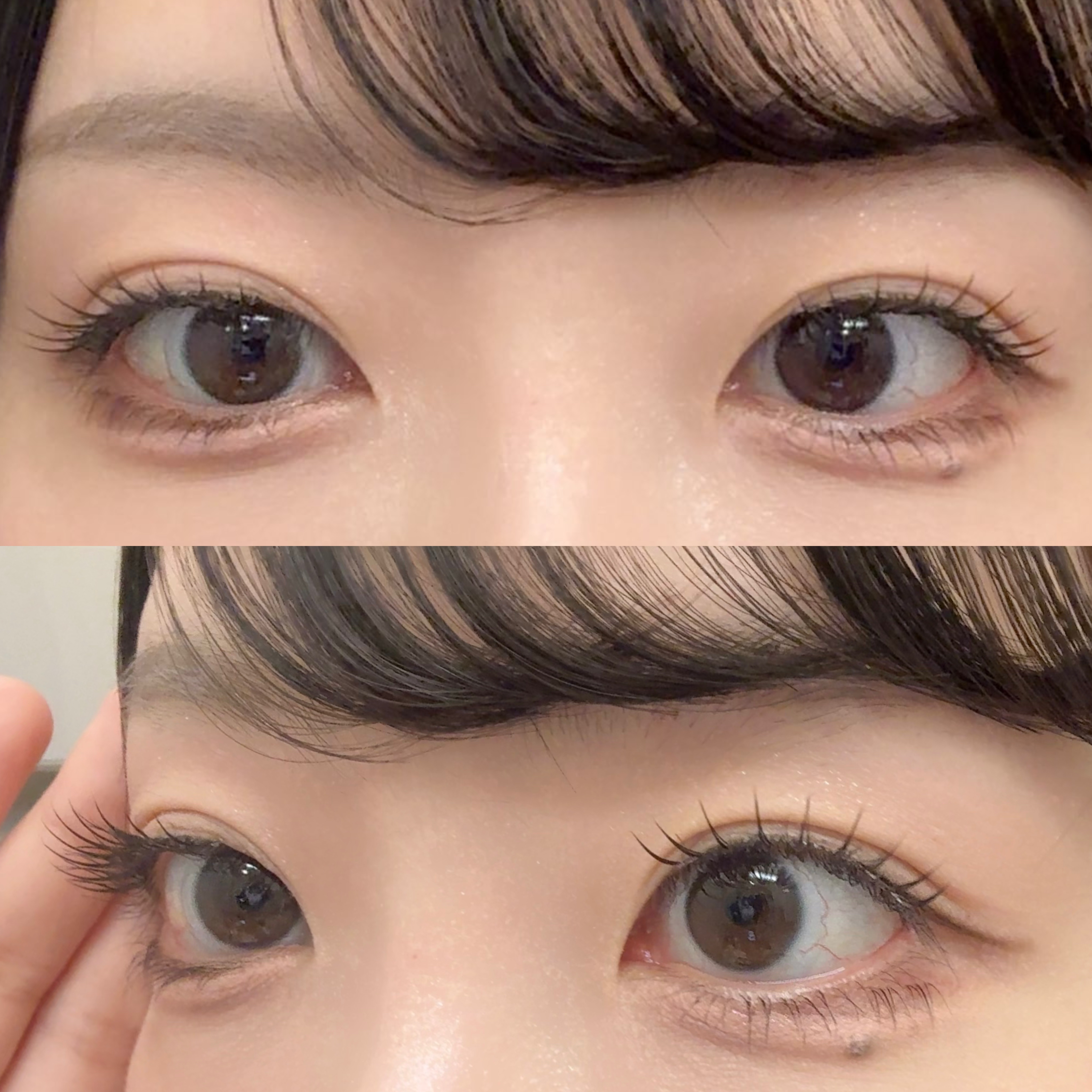 ミッシュブルーミン アイラッシュ インフィニティライン NO.209 ピュアアイドル/ミッシュブルーミン/つけまつげを使ったクチコミ（2枚目）