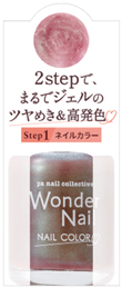 pa ワンダーネイル RWN-21