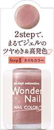 pa ワンダーネイル RWN-22