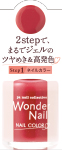 pa ワンダーネイル RWN-15