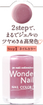 pa ワンダーネイル RWN-17