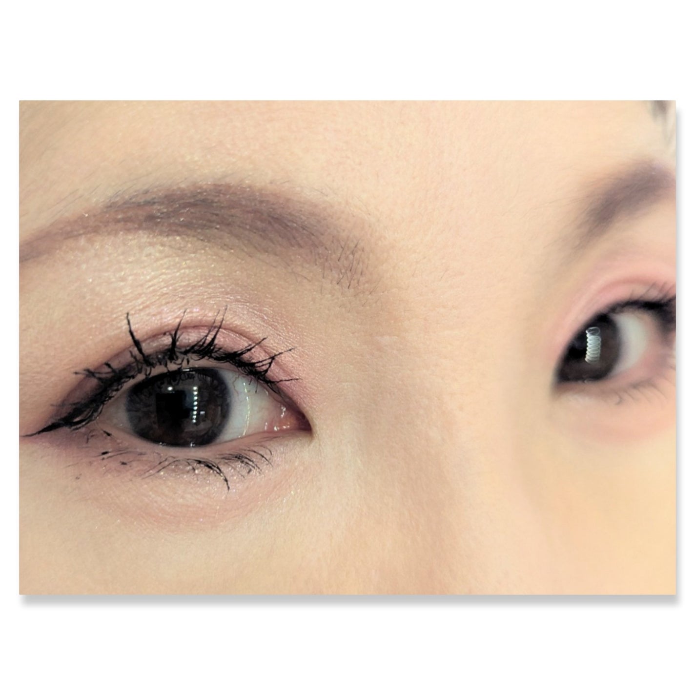 コネクト イン カラー アイシャドウ パレット × 6/M・A・C/アイシャドウパレットを使ったクチコミ(2枚目)