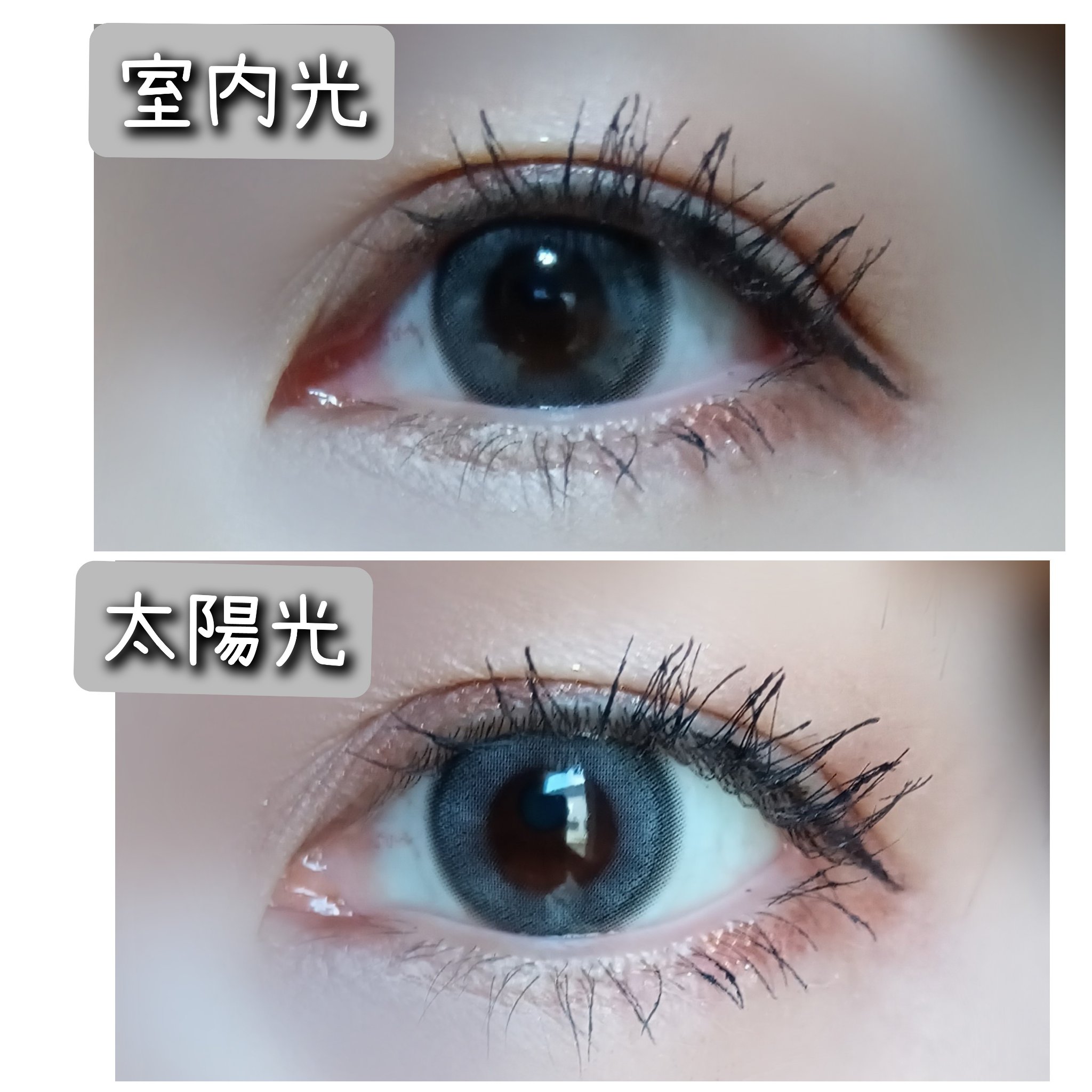 GROVI 1day ヘイローリンググレー/GROVI/ワンデー（１DAY）カラコンを使ったクチコミ（2枚目）