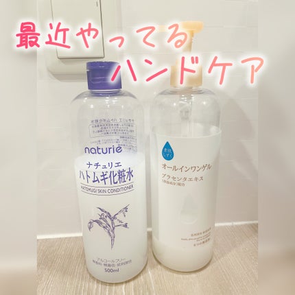 ハトムギ化粧水(ナチュリエ スキンコンディショナー R )/ナチュリエ/化粧水を使ったクチコミ(1枚目)