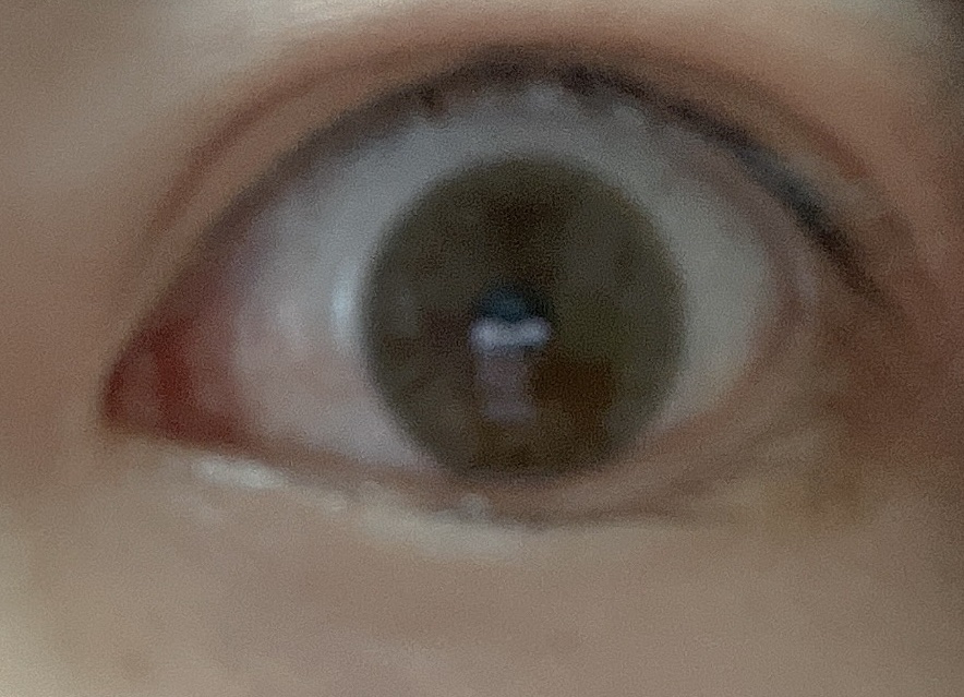 OvE（オヴィ） 1day/OvE/ワンデー（１DAY）カラコンを使ったクチコミ（3枚目）