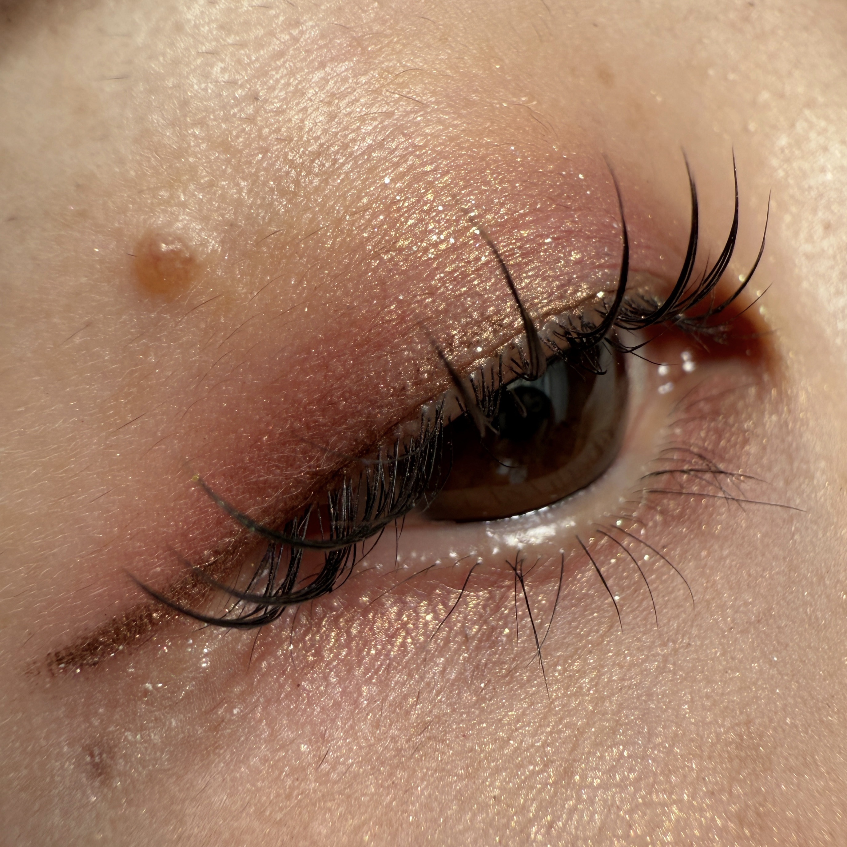 エレガンス ラズル スターアイカラー/エレガンス ラズル /単色アイシャドウを使ったクチコミ（2枚目）