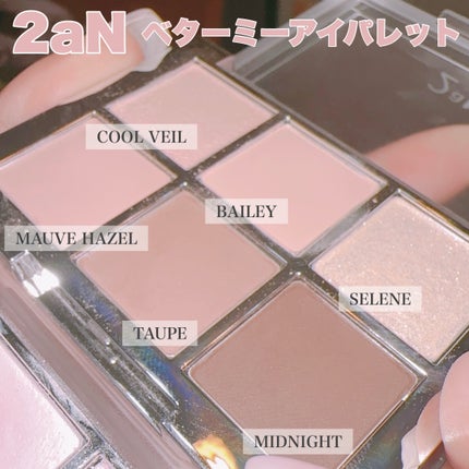 ベターミーアイパレット/2aN/マルチパレットを使ったクチコミ(1枚目)