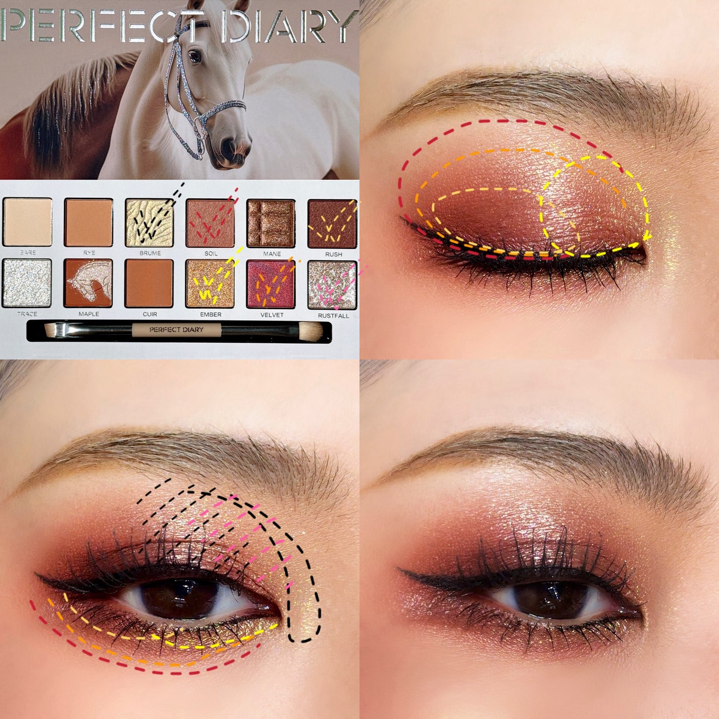 エクスプローラ12色 動物アイシャドウパレット/PERFECT DIARY/アイシャドウパレットを使ったクチコミ(5枚目)