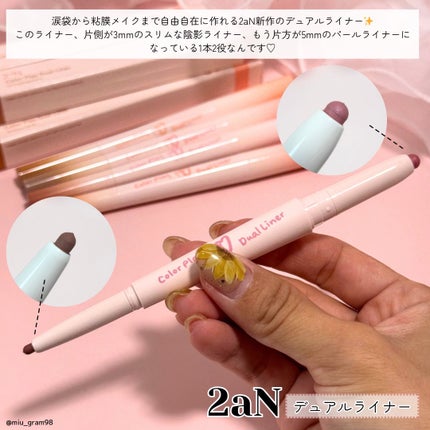 カラープレイデュアルライナー/2aN/スティックアイシャドウを使ったクチコミ(2枚目)