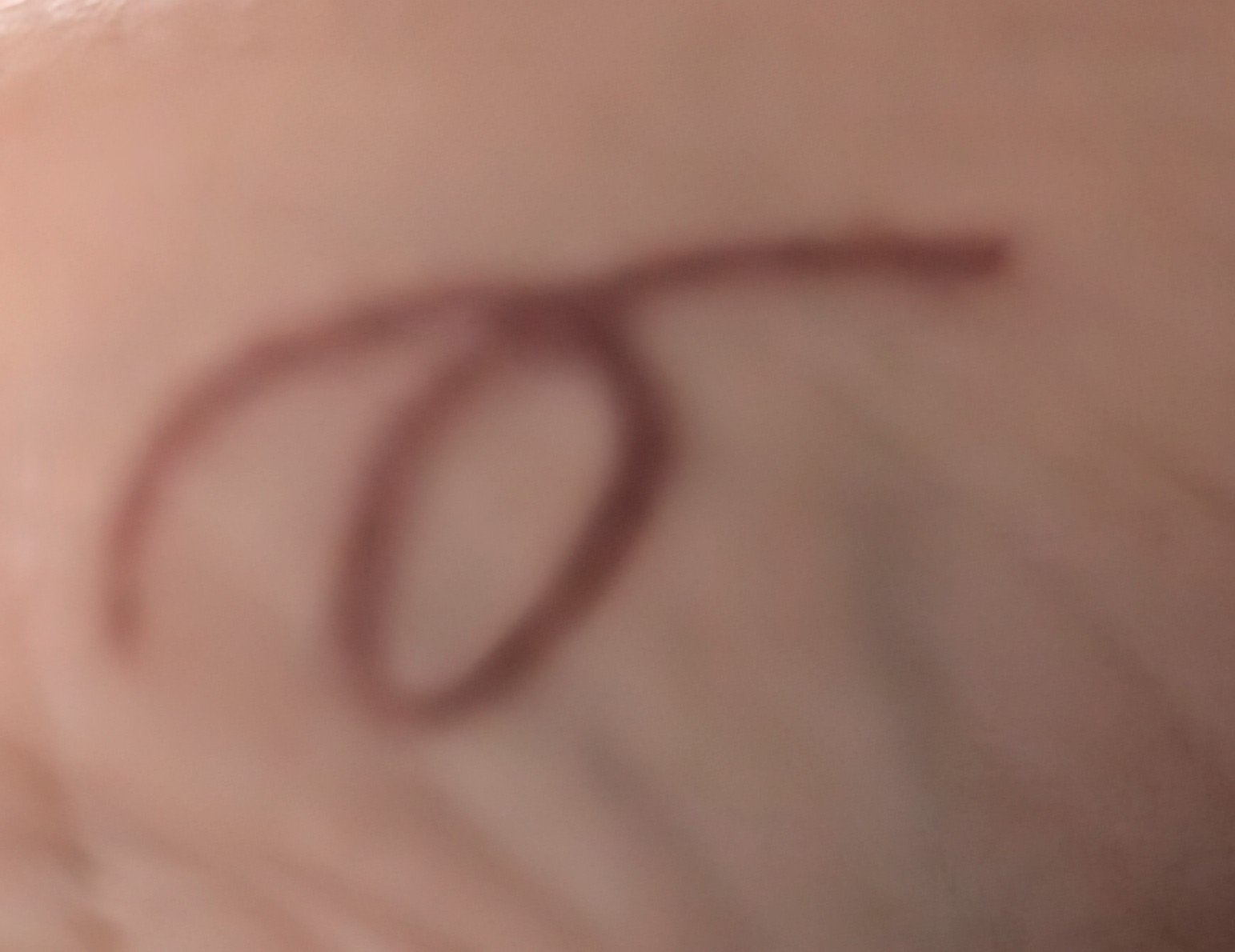 ジェル アイライナー/ちふれ/ジェルアイライナーを使ったクチコミ（2枚目）