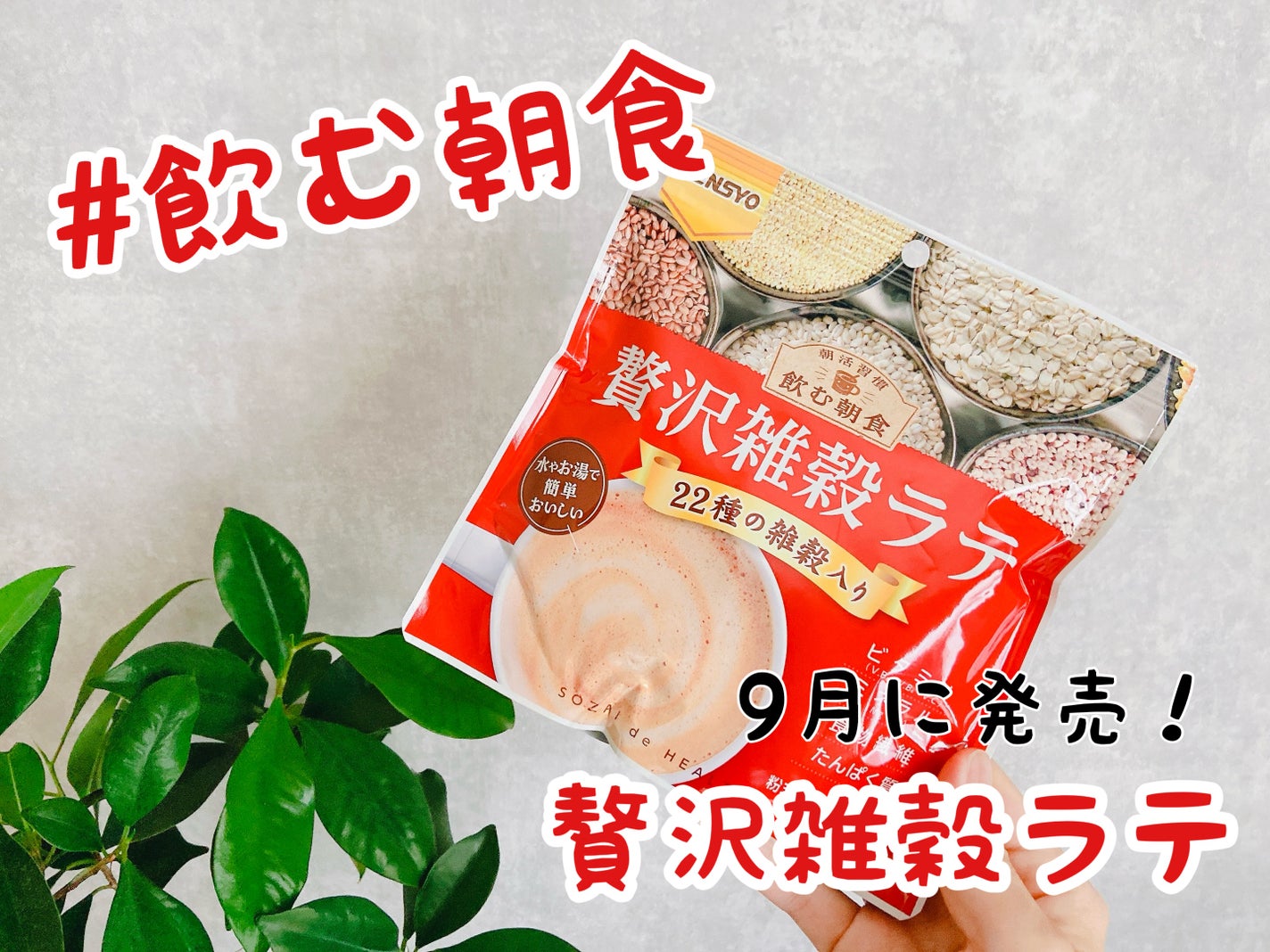 飲む朝食 贅沢雑穀ラテ 健翔