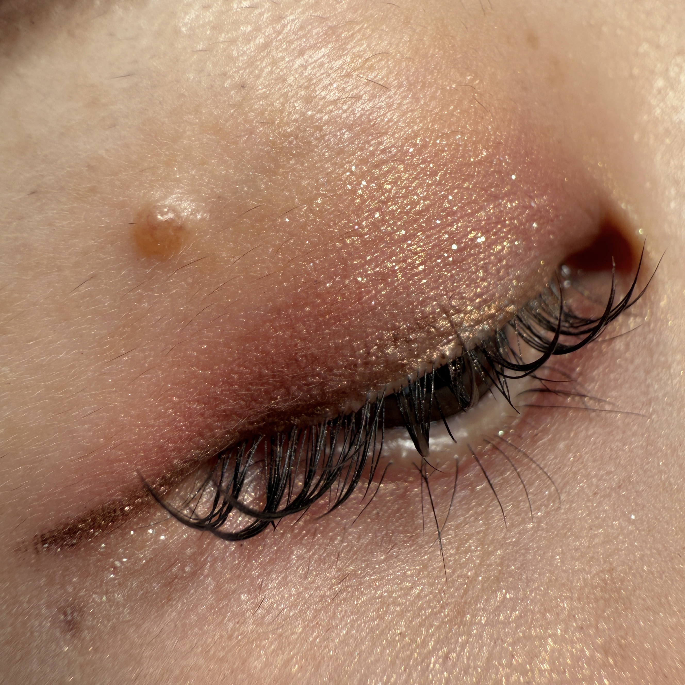 エレガンス ラズル スターアイカラー/エレガンス ラズル /単色アイシャドウを使ったクチコミ（3枚目）