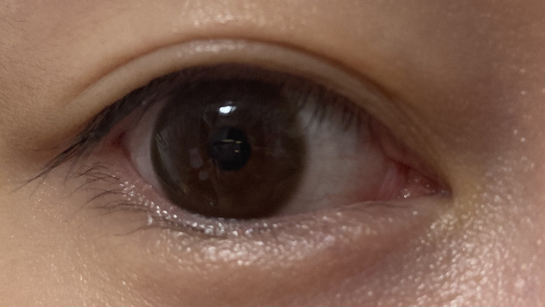 melotte 1day/melotte/ワンデー（１DAY）カラコンを使ったクチコミ（3枚目）