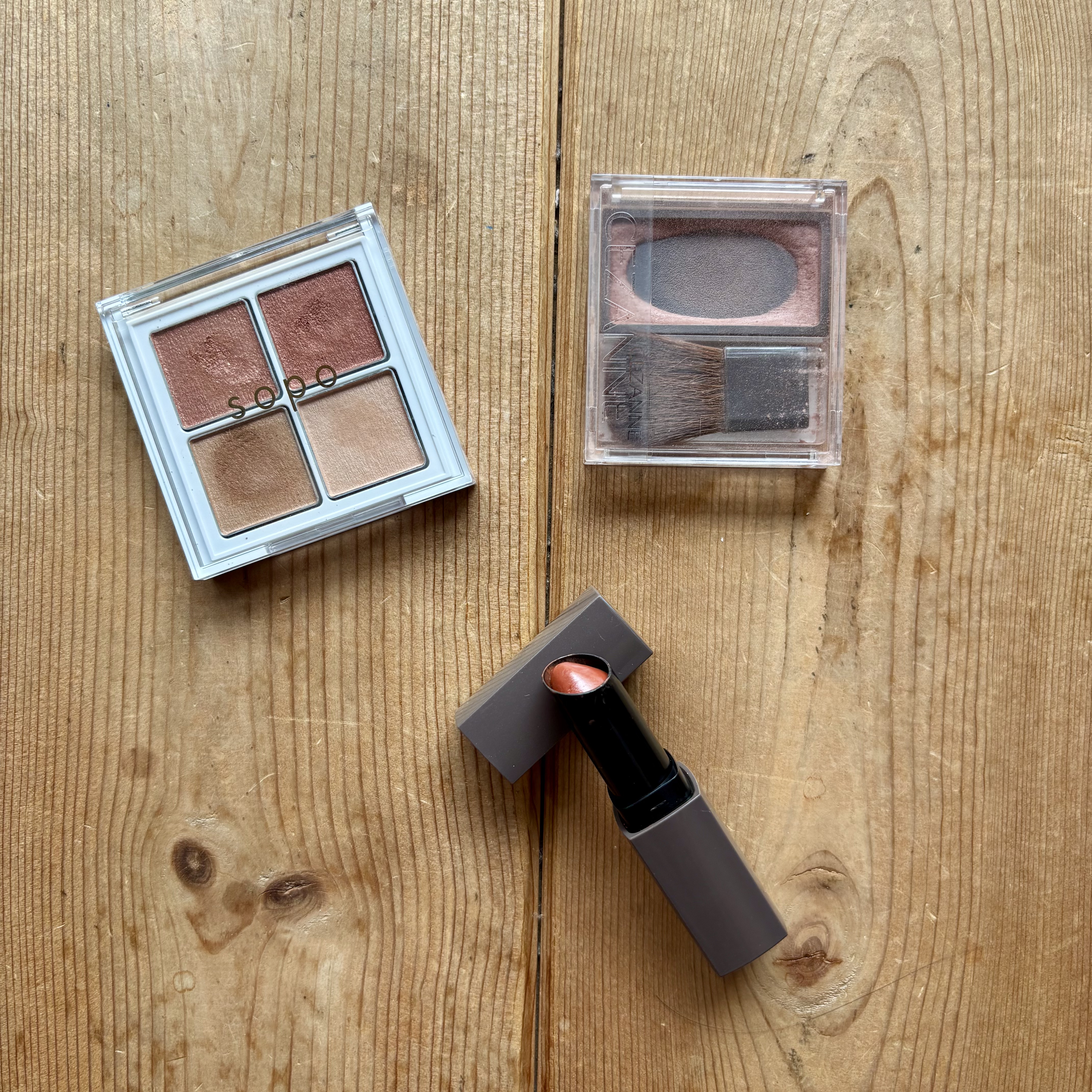 リップカラーシールド/CEZANNE/口紅を使ったクチコミ（1枚目）