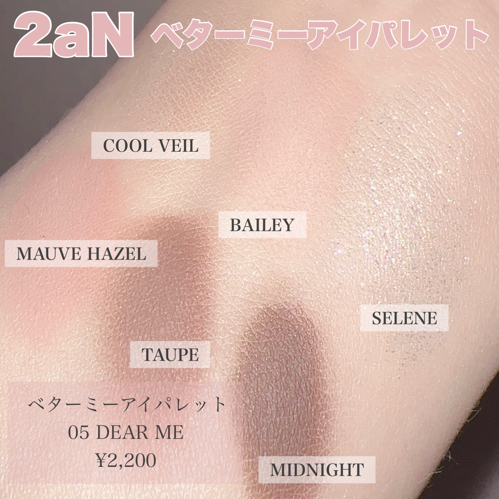 ベターミーアイパレット/2aN/マルチパレットを使ったクチコミ（3枚目）