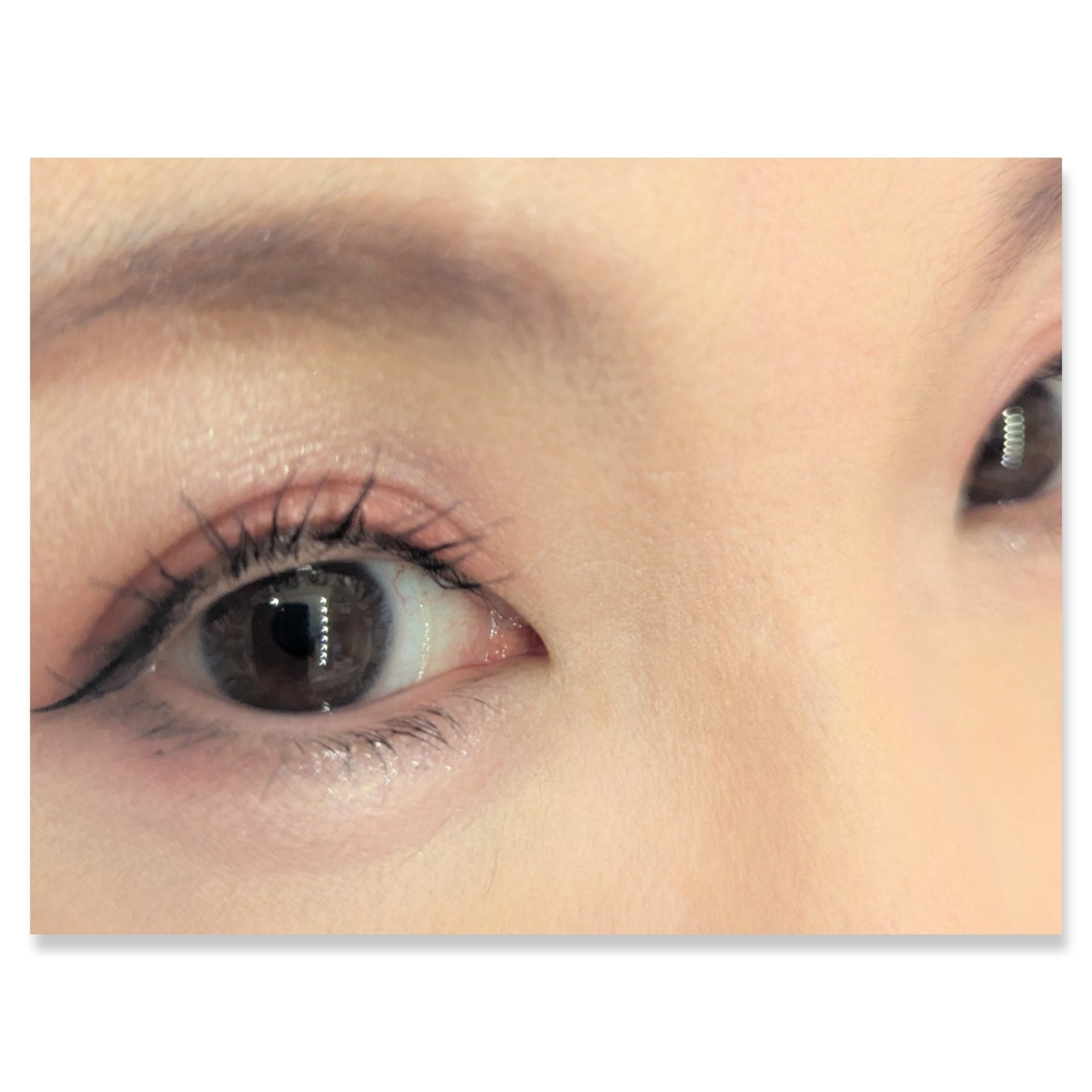 ディテールフィット マスカラ/Visée/マスカラを使ったクチコミ（3枚目）