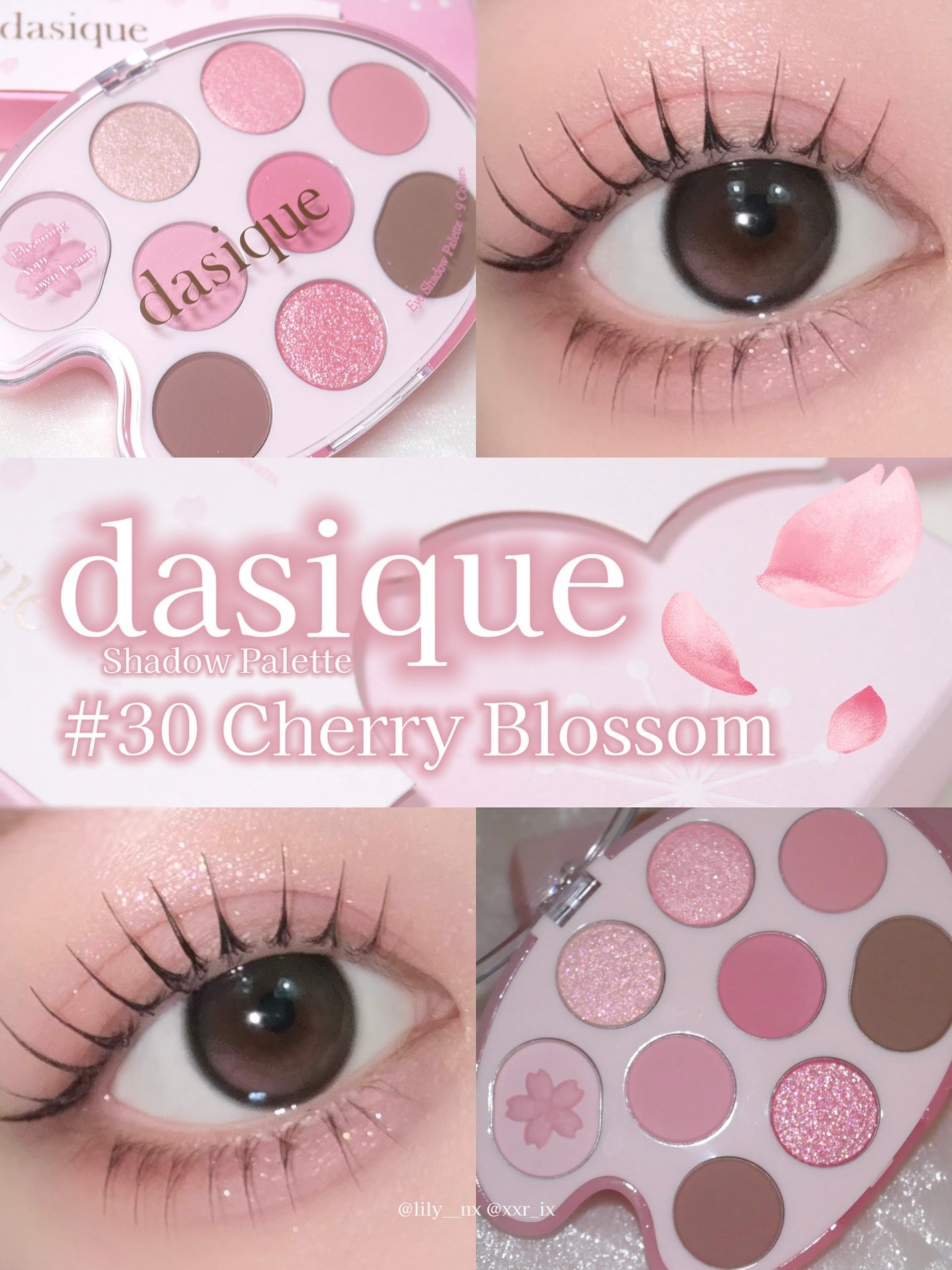 シャドウパレット/dasique/アイシャドウパレットを使ったクチコミ(1枚目)