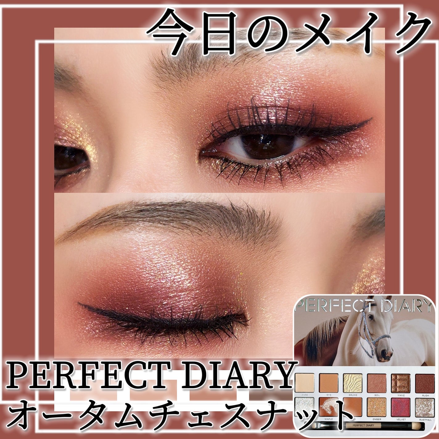 エクスプローラ12色 動物アイシャドウパレット/PERFECT DIARY/アイシャドウパレットを使ったクチコミ(1枚目)