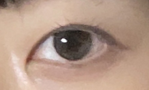 MOLAK 1day ドーリッシュグレー/MOLAK/ワンデー（１DAY）カラコンを使ったクチコミ（2枚目）