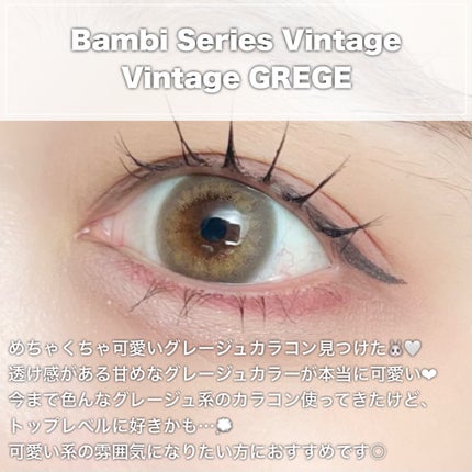 Angelcolor Bambi Series Vintage 1day/AngelColor/ワンデー(1DAY)カラコンを使ったクチコミ(2枚目)