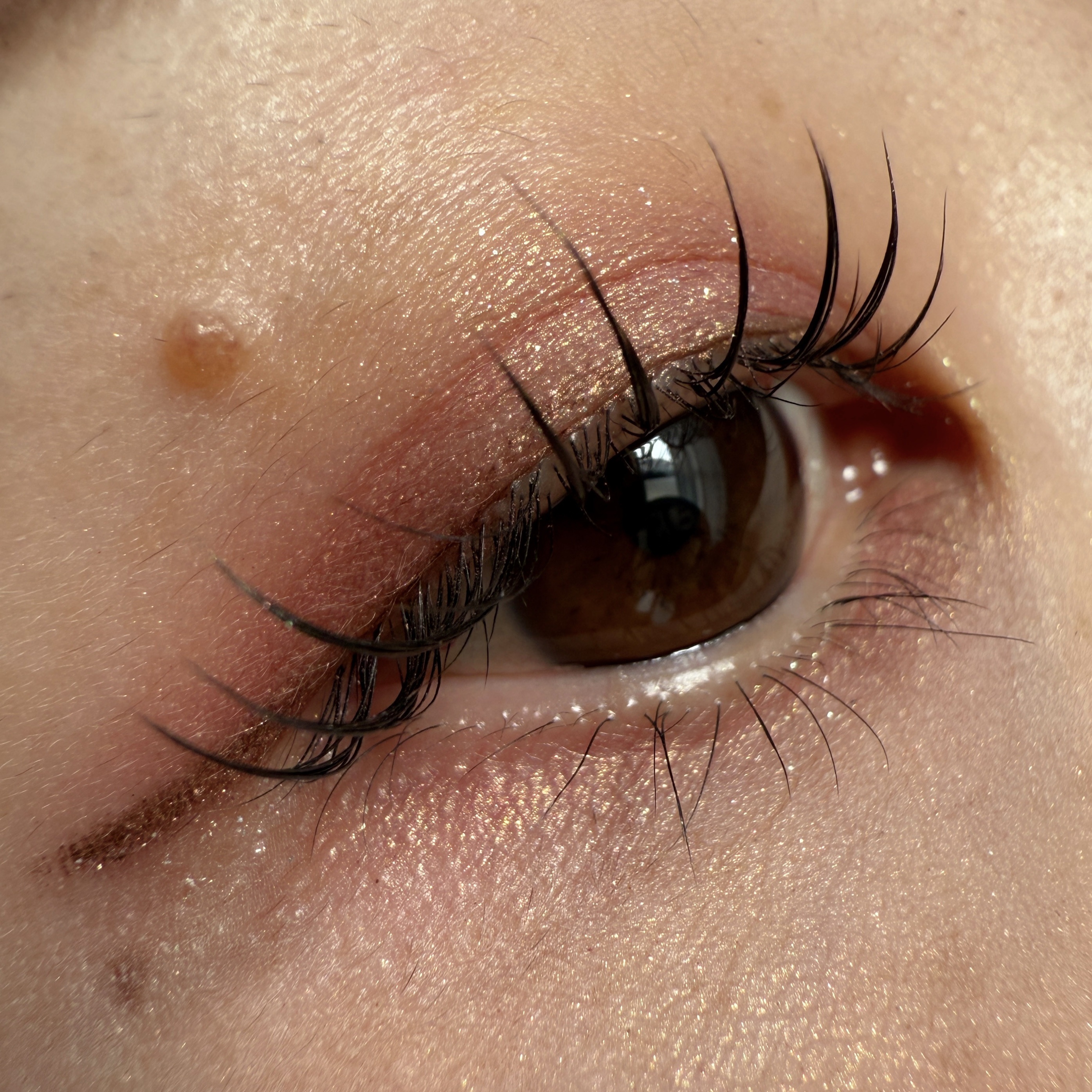 エレガンス ラズル スターアイカラー/エレガンス ラズル /単色アイシャドウを使ったクチコミ（1枚目）