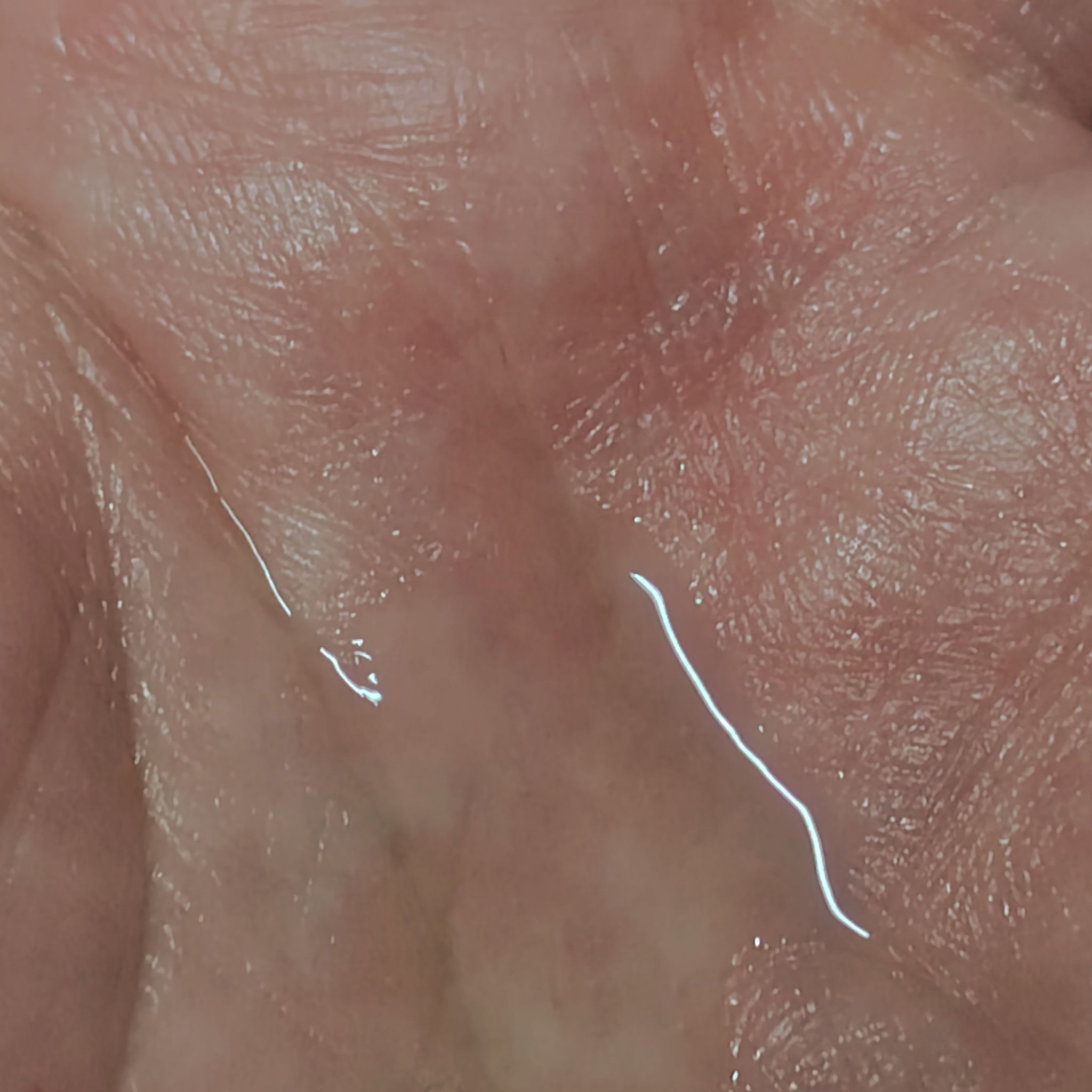 エクシア アンベアージュ エクストラミルク/ALBION/乳液を使ったクチコミ（3枚目）