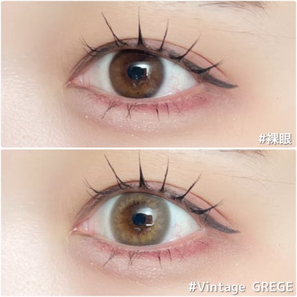 Angelcolor Bambi Series Vintage 1day ヴィンテージグレージュ/AngelColor/ワンデー(1DAY)カラコンの画像