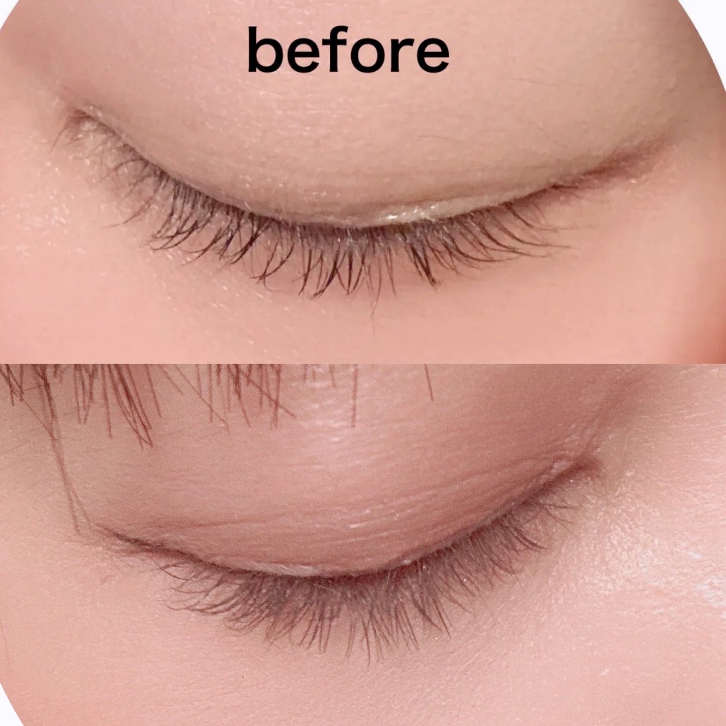 ミッシュブルーミン コラボアイラッシュ/DAISO/つけまつげを使ったクチコミ(5枚目)