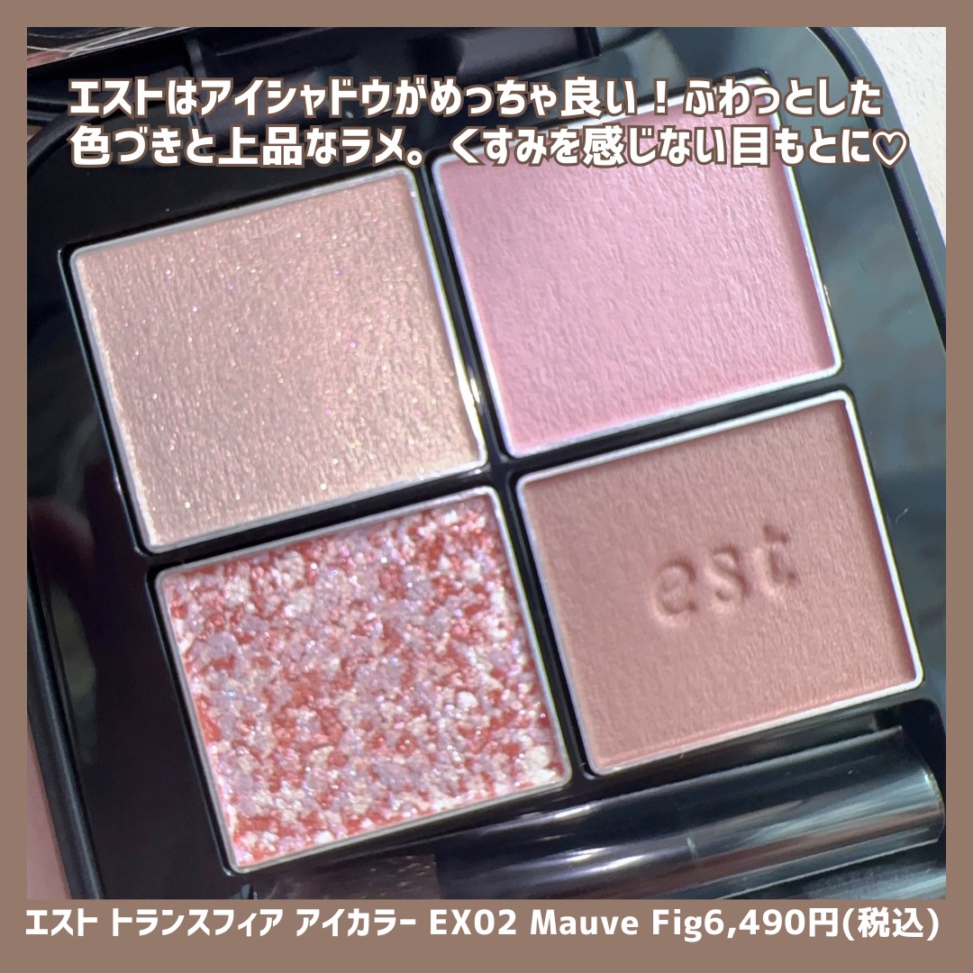 エスト トランスフィア アイカラー/est/アイシャドウパレットを使ったクチコミ（3枚目）