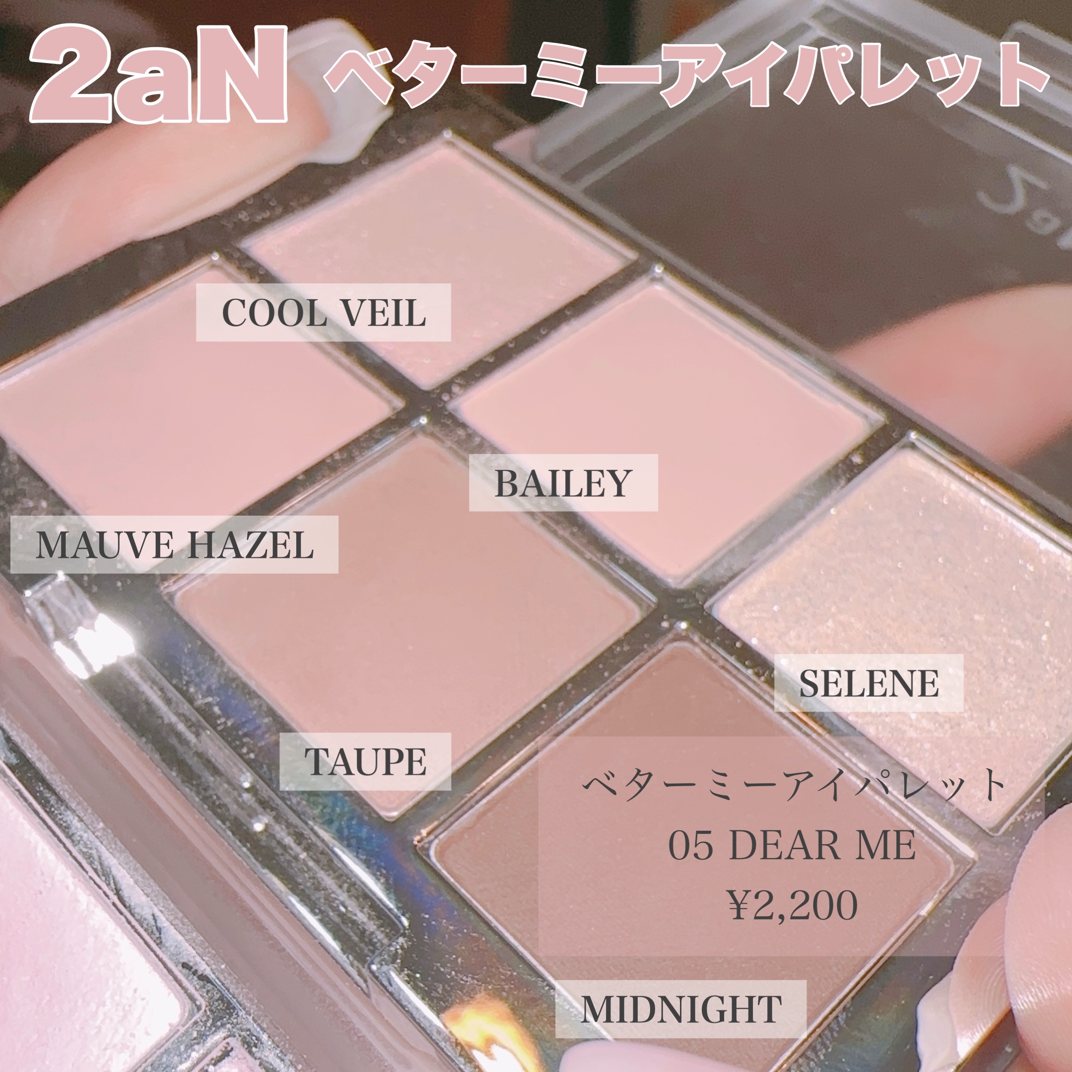 ベターミーアイパレット/2aN/マルチパレットを使ったクチコミ（2枚目）