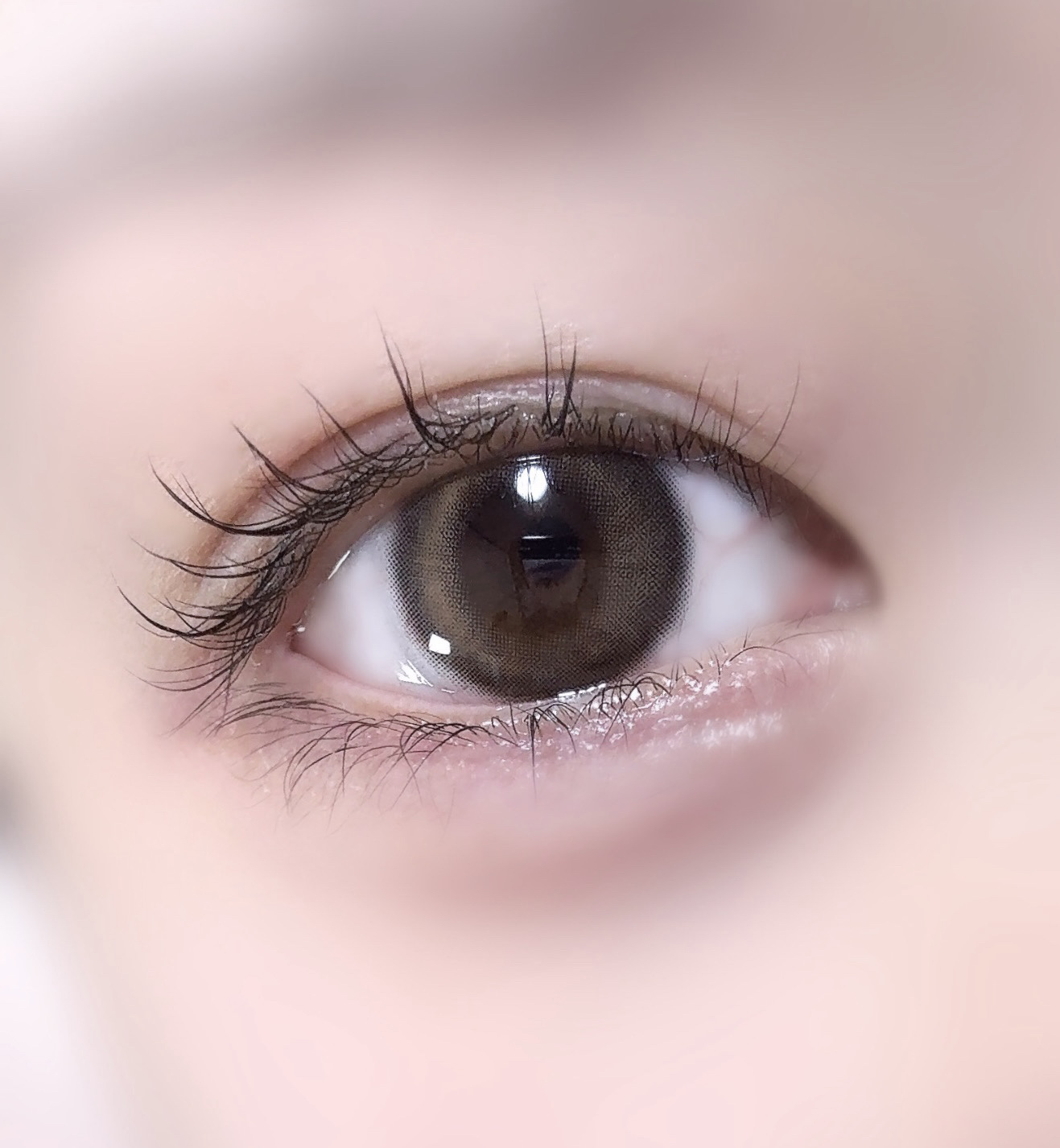 Eesle 1day スンスブラウン/URIA i-DOL/ワンデー（１DAY）カラコンを使ったクチコミ（1枚目）