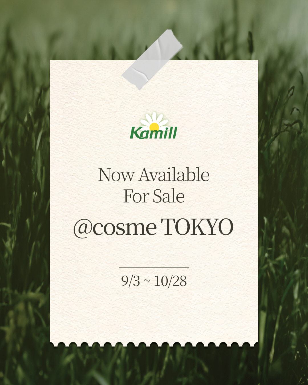 ついに＠ cosme TOKYOでカミール販売スタート！
韓国オフライン、SNSで話題のアイテム
パフューマリーハンド＆ネイルクリーム６種を展開！
しかも６種類中３種は、＠ cosme TOKYOだけでお買い求めいただけます。
また韓国＆グ