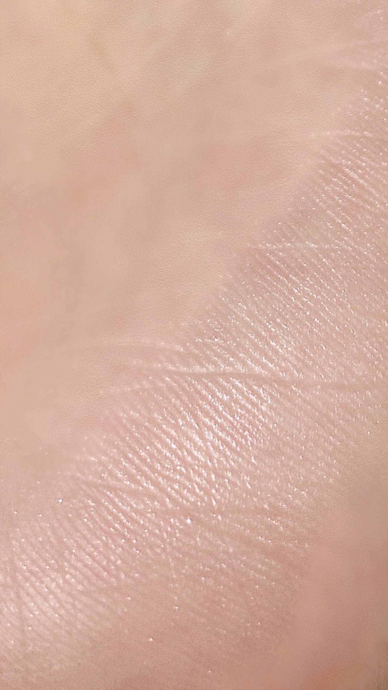 ハイライト パウダー/SUITSme/パウダーハイライトを使ったクチコミ（2枚目）