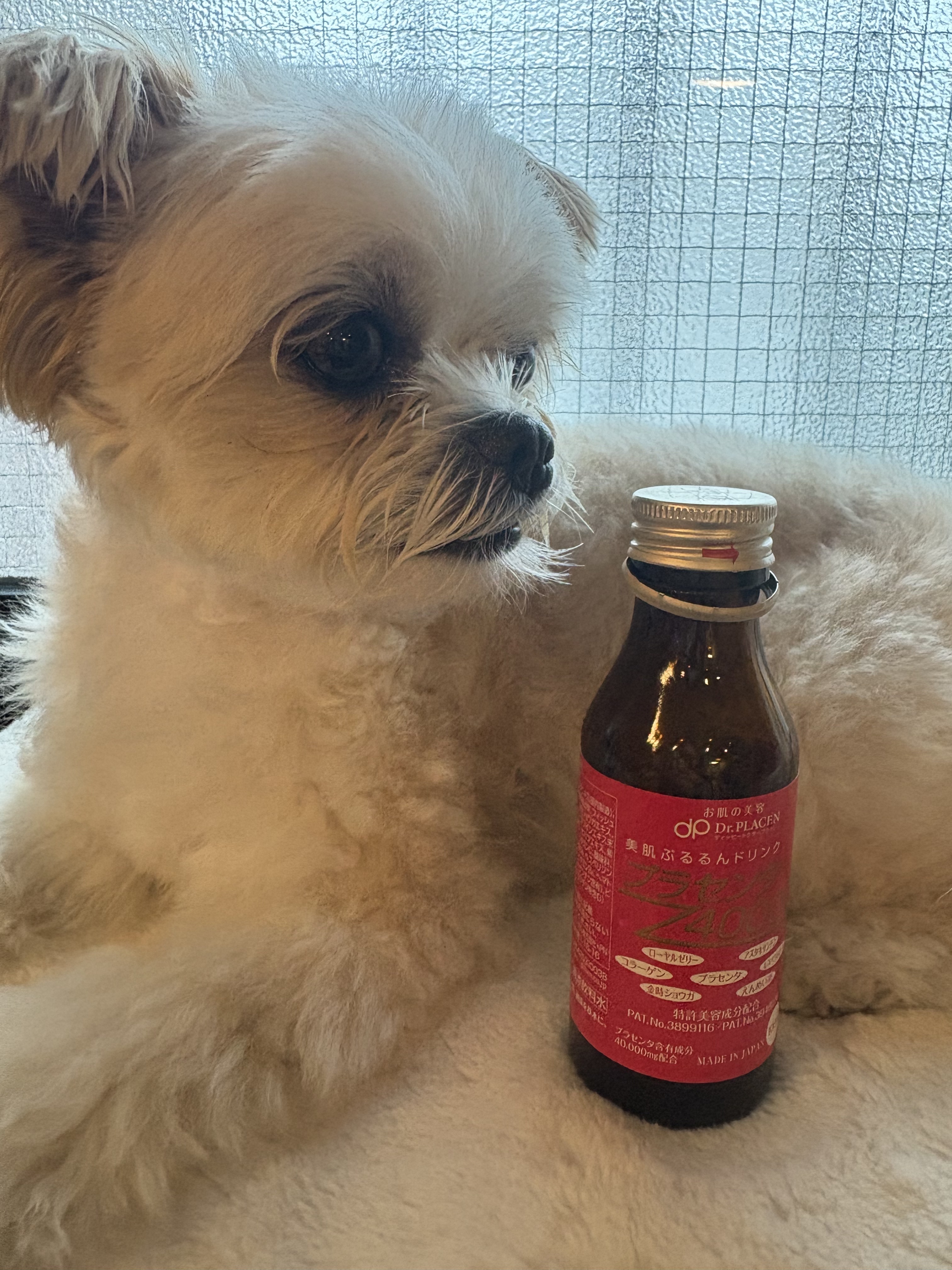 プラセンタ40000/Dr.PLACEN/ドリンクを使ったクチコミ（3枚目）