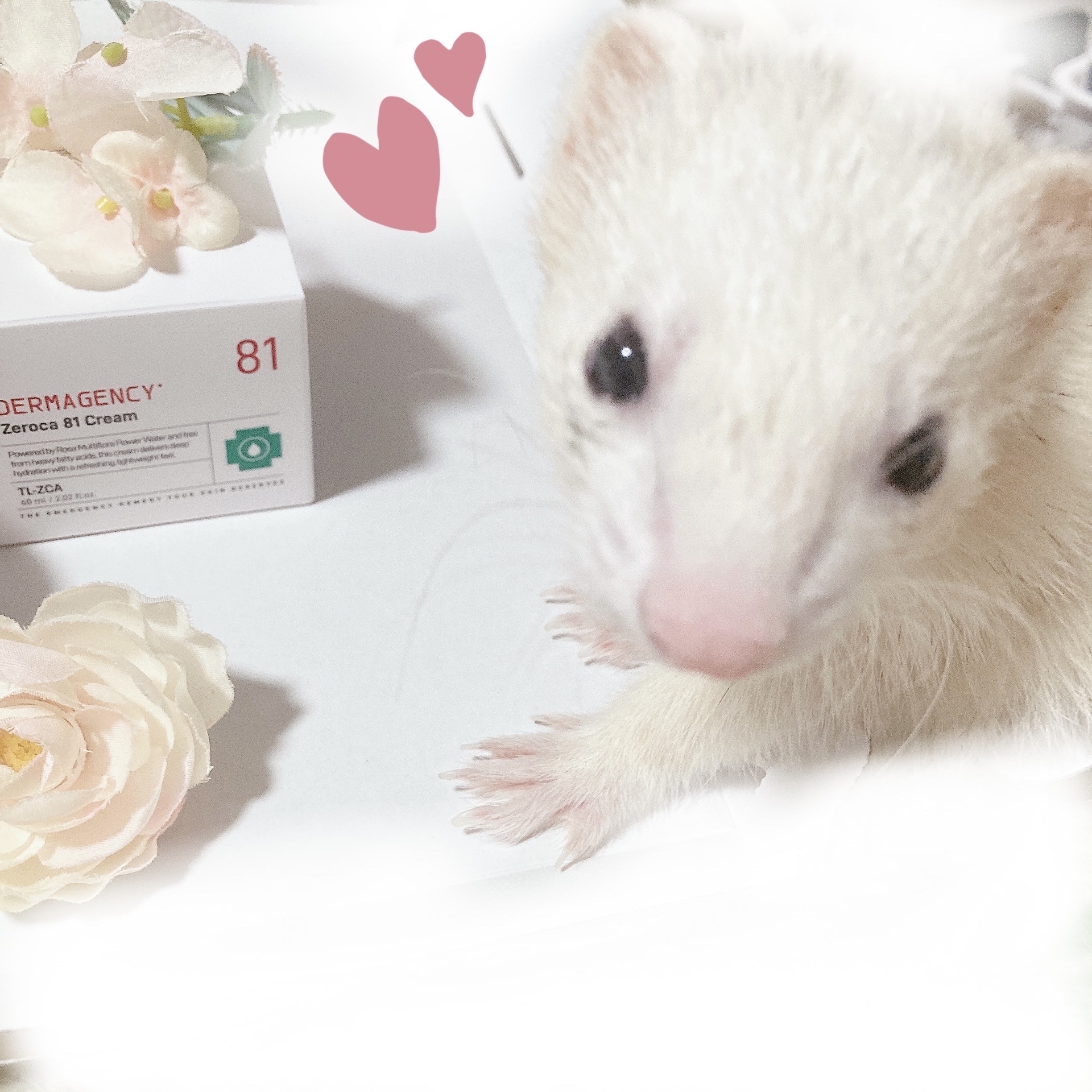 ダーマジェンシー ゼロカ81 クリーム/DERMAGENCY/フェイスクリームを使ったクチコミ（3枚目）