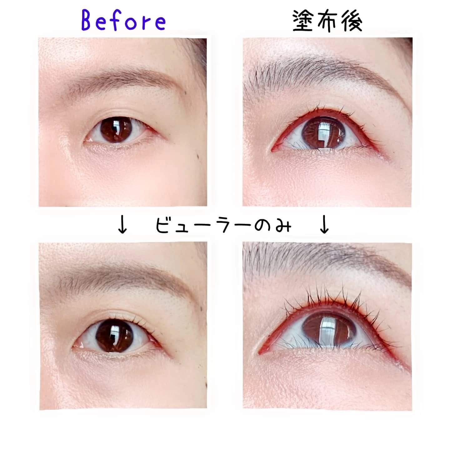 アイラッシュデザインメイカー/クレーリナ/マスカラ下地を使ったクチコミ（2枚目）